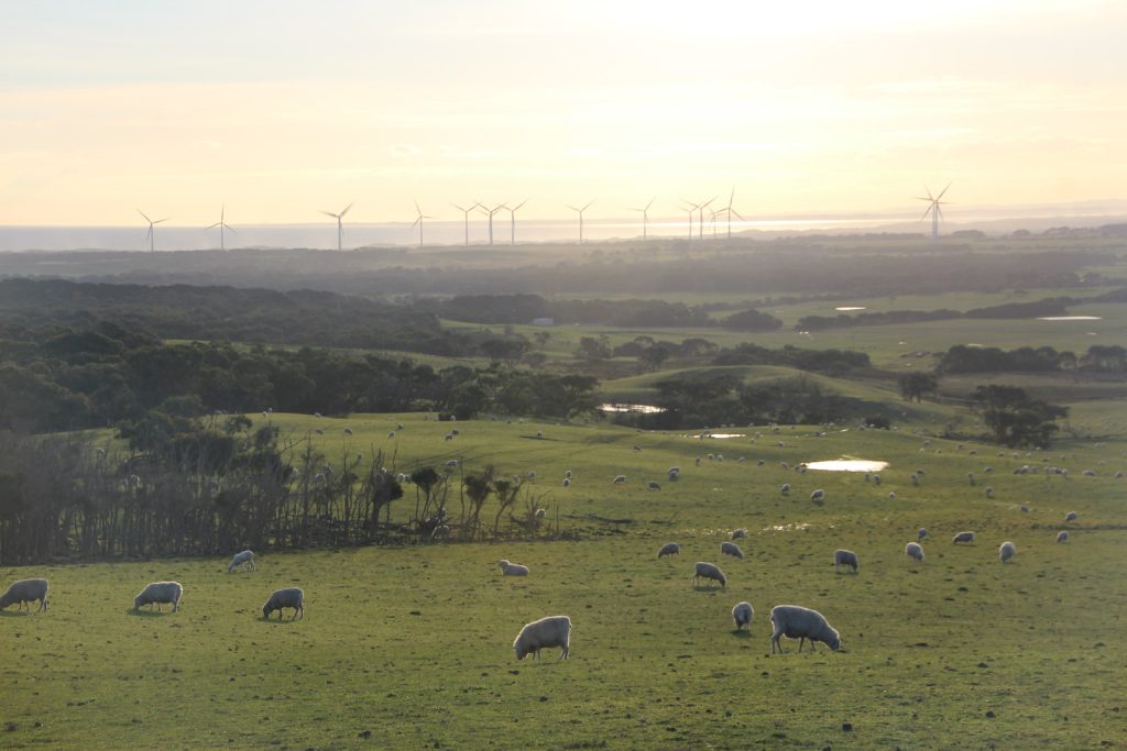 Bald hills, Wind Farm, Victoria, Australia. Photo