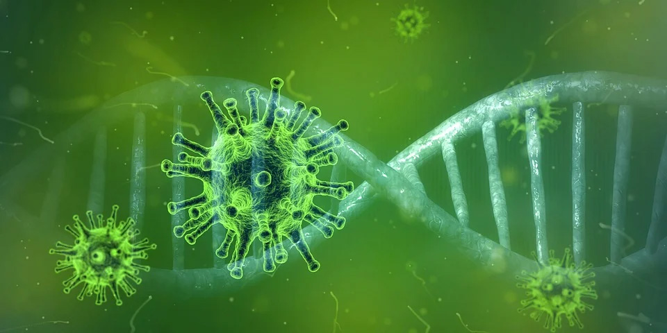 Corona virus and DNA double helix