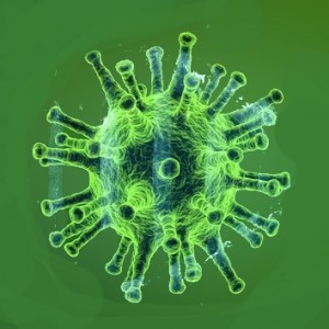 Coronavirus, wuflu, CCPvirus. Image.