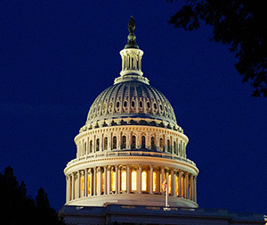 US Congress at night: Photo by Darren Halstead on Unsplash
