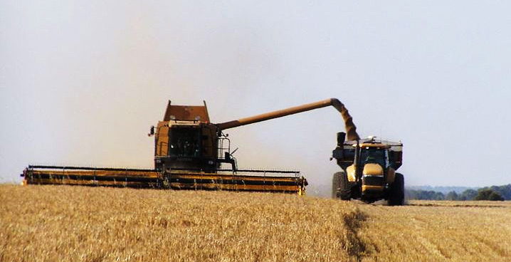 : A 42 foot Caterpillar Lexion combine harvester unloading wheat to an auger wagon pulled by a tracked Caterpillar Challenger tractor on the move near Pallamallawa, New South Wales, Australia.