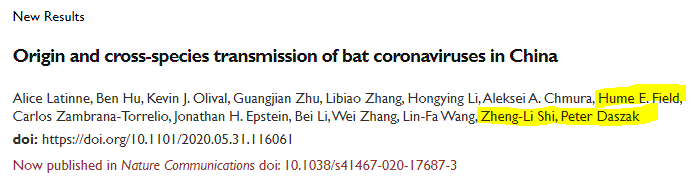 Origin and cross-species transmission of bat coronaviruses in China