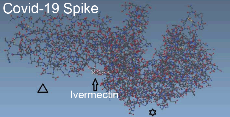 Ivermectin binds SARS Cov-2 spike. Diagram. Chemistry. Molecule.