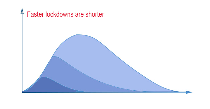 Lockdowns, graph, length, timing. shorter, faster restrictions. 
