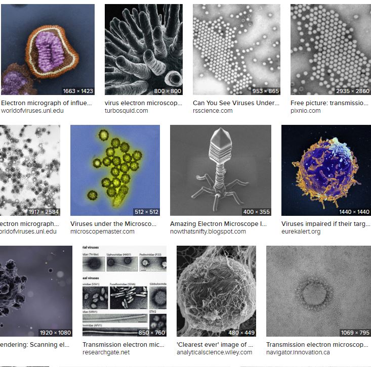 Electron  micrographs of viruses