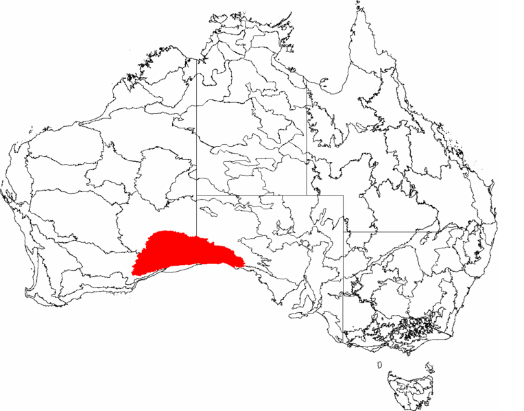 Nullabor plain map. Australia