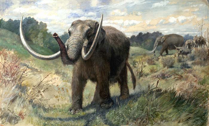 Mastodon, American, painting from 1897.