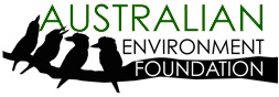 AEF Logo