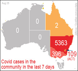 Coronavirus cases in the last week in Australia. 