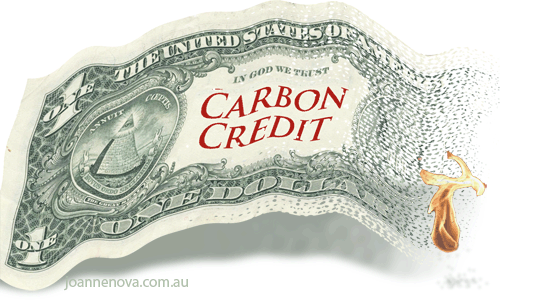 carbon credits catch fire