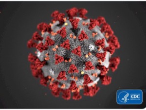 Coronavirus