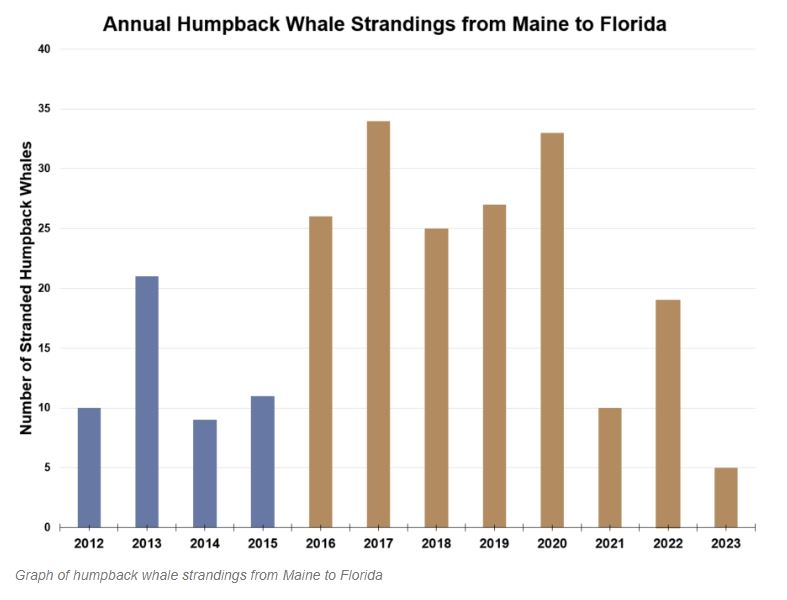 Whale Strandings, dead, NOAA, graph.