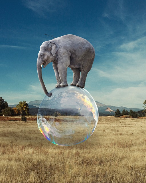 Elephant Bubble Fantasy