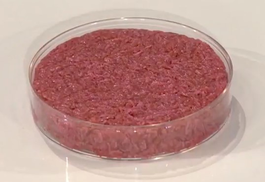laboratory meat. Cultured meat. Fake beef.