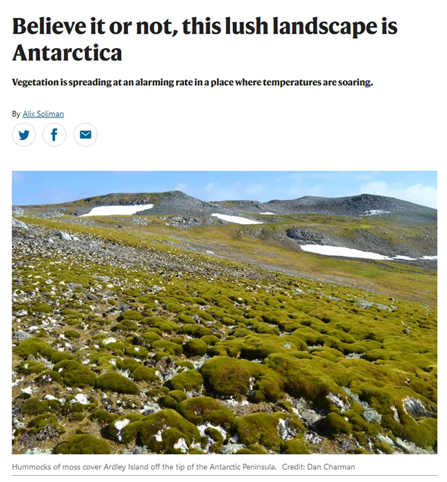 Believe it or not, this lush landscape is Antarctica