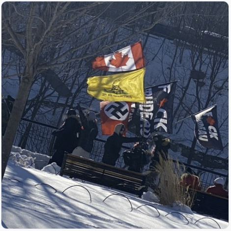 Swastika Flag and Fuck Trudeau.